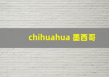 chihuahua 墨西哥